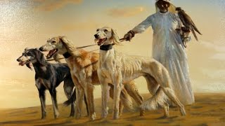 معلومات عن كلب السلوقي  SALUKI DOG BREED [upl. by Mathis382]