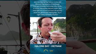 Halong Bay Cruising on a luxury Cruise [upl. by Alyakam]