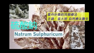 《靈丹妙藥的同類療法》 EP143  硫酸鈉 Natrum Sulphuricum [upl. by Brackely245]