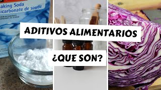 ADITIVOS alimentarios Que son 🤔 Cuales es su FUNCION y Tipos [upl. by Naugan]