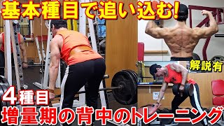 【筋トレ】基本種目で背中のバルクアップを狙う増量期のトレーニング！4種目で広背筋や僧帽筋を鍛える【解説有】 [upl. by Annaynek]