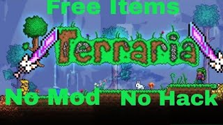 Terraria free items server [upl. by Lathrope109]