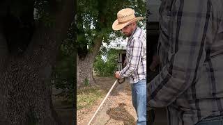 Mastering the Lawn Ultimate Yard Work and Mowing Action Short video 01 [upl. by Aiek91]