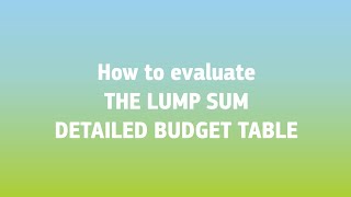 How to evaluate lump sum proposals Detailed budget table [upl. by Haodnanehs922]