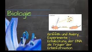 Griffith und Avery Experimente  Entdeckung der DNA als Träger der Erbinformation [upl. by Weisman]