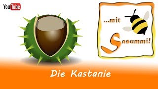 Fingerspiele Singen mit Sasummi  Die Kastanie [upl. by Aniles]