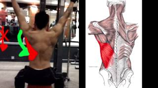 How To Properly Do Lat Pulldowns [upl. by Ynnig]