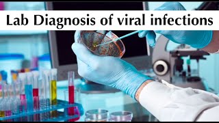 Microbiology 6th practical tuotorial quotLab Diagnosis of viral infectionsquot by ASM Minds Team [upl. by Aiyotal]