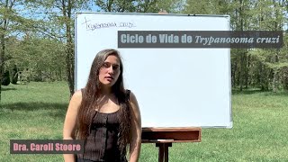 Ciclo de vida de Trypanosoma cruzi [upl. by Vokay123]