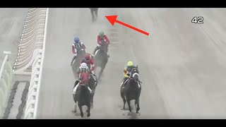 Shitei Taiketsu Insane horse racing debut [upl. by Gunther]