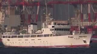 SHONAN MARU 湘南丸 Trainng ship 漁業実習船 神奈川県立海洋科学高等学校 東京港 2015JAN [upl. by Etteiluj]