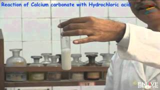 Reaction of Calcium carbonate with Hydrochloric acid [upl. by Marquet649]