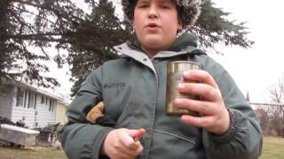 Pine needle tea How To [upl. by Nabru]