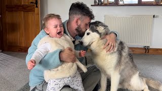 Baby REFUSES To Share HER Husky😂💖 The End Made Me Wanna Cry [upl. by Aneelak]