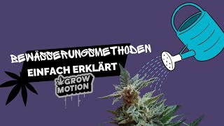 Cannabis Bewässerungsmethoden  Anbau Tipps  Homegrow [upl. by Brewster678]