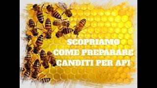 COME PREPARARE CANDITI PER API CON RISULTATO GARANTITO [upl. by Jackqueline677]