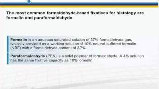 Immunohistochemistry IHC principles and troubleshooting [upl. by Daly]