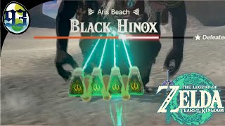 Zelda TOTK 93 Black Hinox Fun [upl. by Hpesoy]