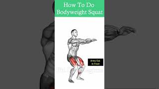 How to Do Bodyweight Squat Properly and Effectively [upl. by Nodyarb623]