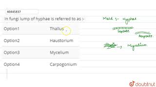 In fungi lump of hyphae is referred to as [upl. by Ardnasirhc]