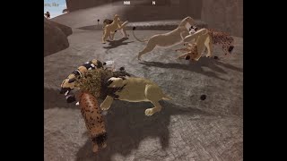 Testing A Lions VS Hyenas ROBLOX [upl. by Rolo]