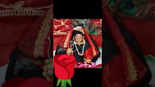 Aigiri Nandini Nandita medinimatarani mahisasuramardini jaimatadi [upl. by Hanzelin289]