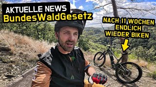 Können Mountainbiker aufatmen 🌲👎👍 NEUES WALDGESETZ 🚲 Erste MTB Tour nach Handverletzung [upl. by Azmah]