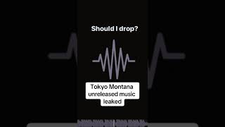 Tokyo Montana Should he drop [upl. by Euqirrne]