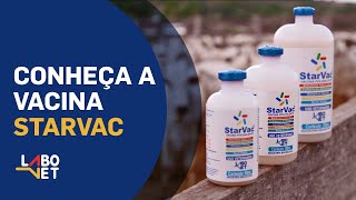 Conheça a Vacina STARVAC  Labovet Produtos Veterinários [upl. by Airotna]