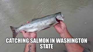 Fishing Washington State For Salmon [upl. by Nedda]