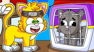 Nos Convertimos en Gatos en el Escondite 🐱 Cats Hide and Seek  2 Noobs son GATOS en Roblox [upl. by Saticilef]