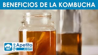 8 Propiedades y Beneficios de la KOMBUCHA 🌱✅  QueApetito [upl. by Polky910]