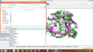 How to check different types of proteinligand interactions in DSV Discovery Studio Visualizer [upl. by Vallie]