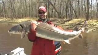 River Monsters Minnesota [upl. by Kreg87]