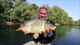 Pesca con la bolognese sul fiume [upl. by Ziul134]