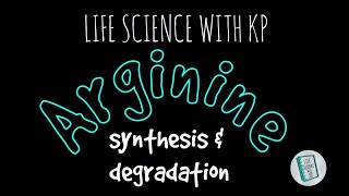 ARGININESynthesis amp DegradationVlog 5 [upl. by Amalia810]