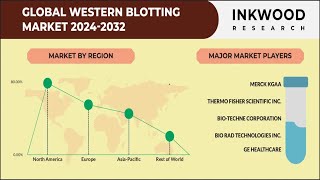 Western Blotting Market  Immunoblotting  Inkwood Research  2032 [upl. by Ecirtnahc974]