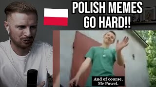 Reaction To LEGENDARY Polish Memes [upl. by Salome]