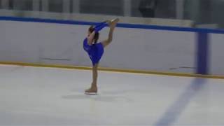 Ajda Hrušovar Basic Novices A girls Skate Celje 2017 [upl. by Coop326]