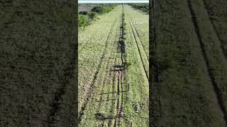 Con un dron a una niña de 3 años que estuvo 5 horas perdida en La Pampa [upl. by Niwhsa]