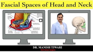 Odontogenic space infection part2  fascial spaces of head and neck [upl. by Gnilsia154]