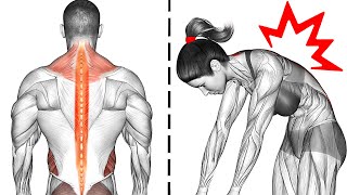 8 Exercises for Lower Back Pain [upl. by Wang]