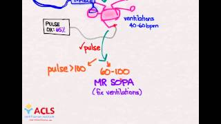 NRP Overview and Review by ACLS Certification Institute [upl. by Aleck]