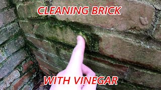 How To Clean Brick with Vinegar [upl. by Chansoo]