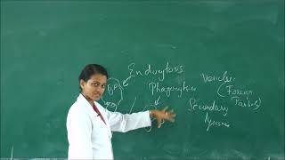 MBBS BIOCHEMISTRY  Lysosomes Simplified [upl. by Magdalena]