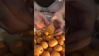 55 The loquats here are so sweet The bagged loquats are resistant to transportation pest proof an [upl. by Pizor]