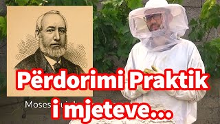 🔴Episodi 2 Përdorimi praktik i mjeteve themelore  Bletaria Shqip [upl. by Sirah]