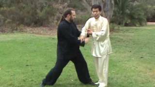 Tai Chi Taiji Selfdefense Application Traditional Yang Long Form 2 [upl. by Spada970]