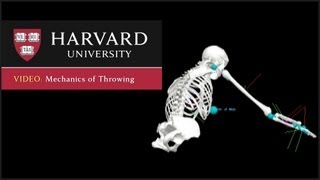 Mechanics of Throwing [upl. by Now]