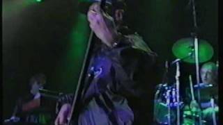 Falco Ganz Wien live in Wiesen 1996 mit Drahdiwaberl [upl. by Eardnoed580]